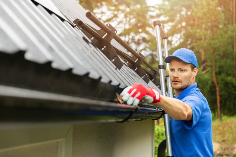 Gutter Cleaning Access