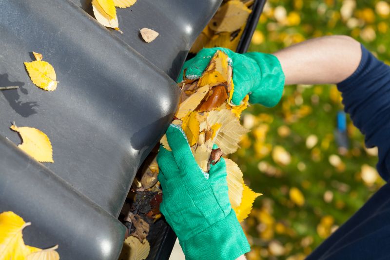 Gutter Maintenance in Fall