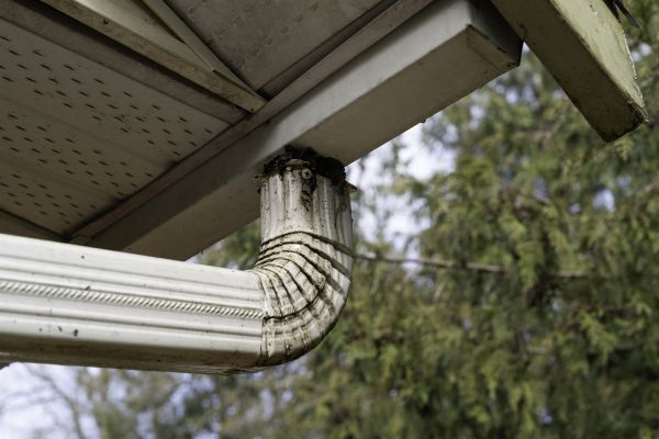 Cost of Roof Drain Replacement in Brighton